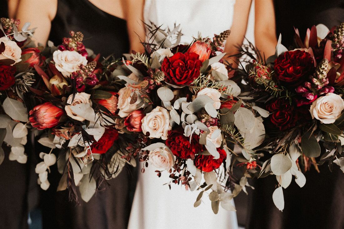 Bridal bouquet of burgundy roses and proteas with hints of blush and silver foliage